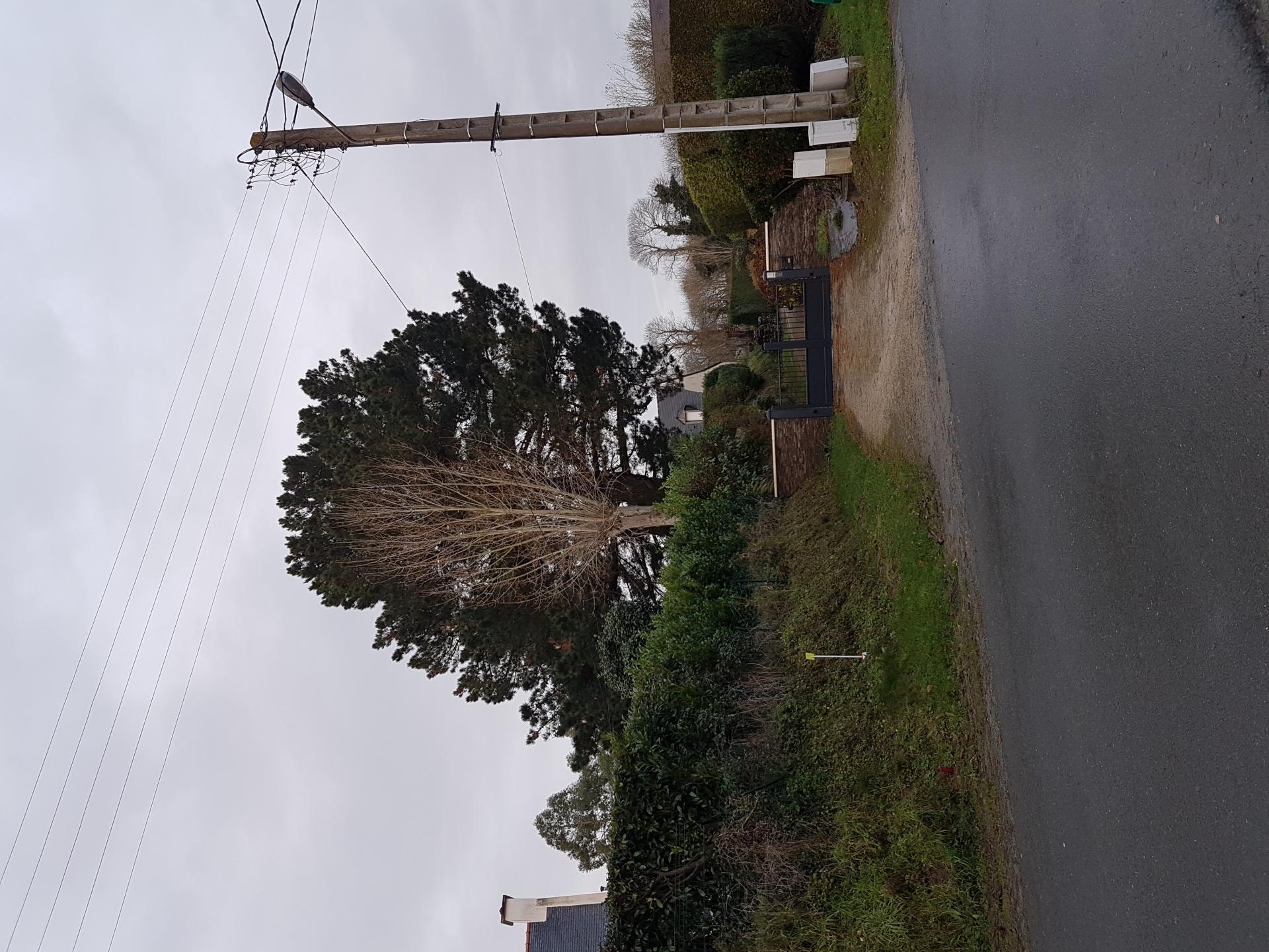 20171213_093243