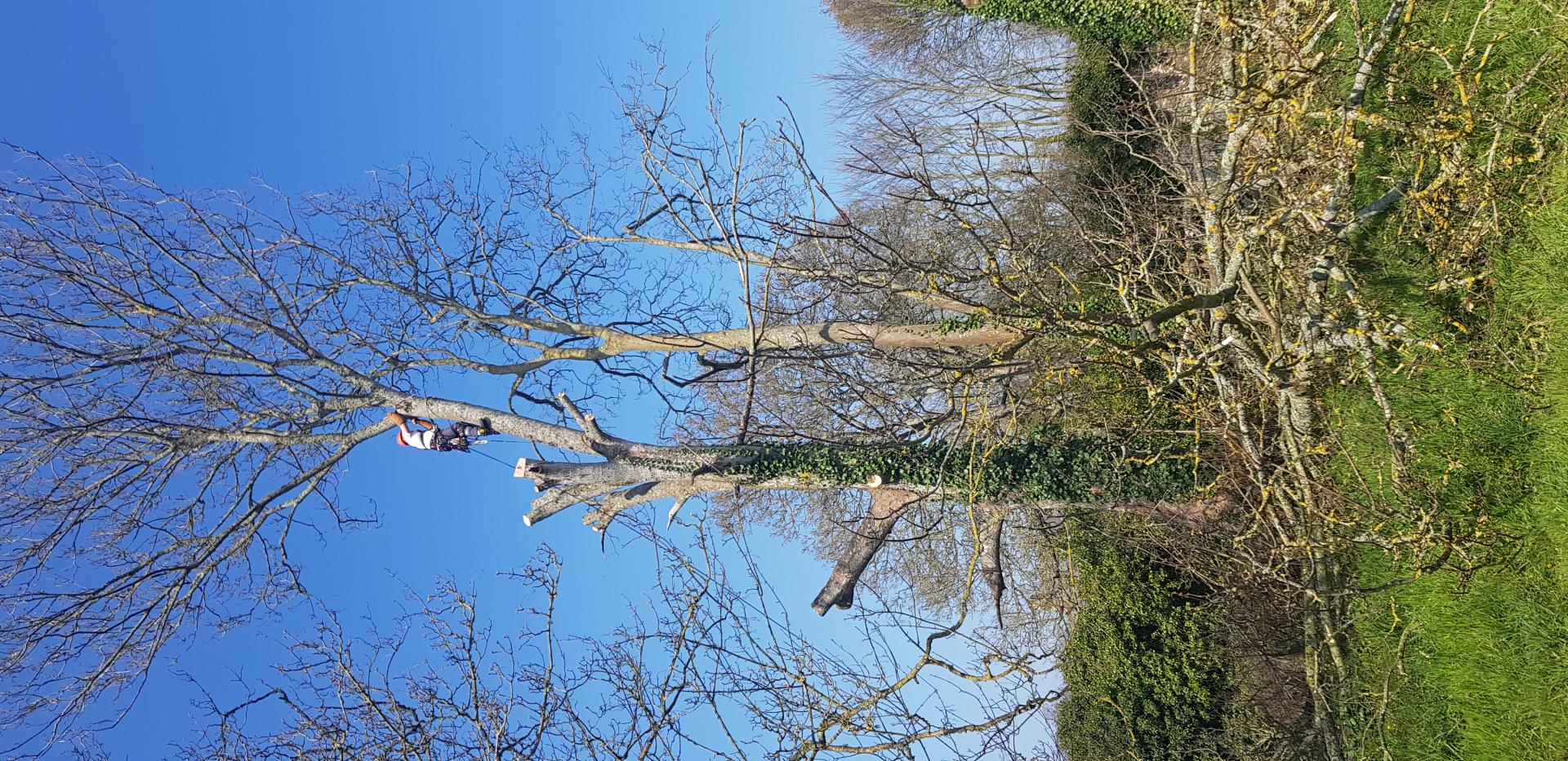 20190329_141259